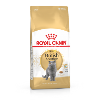 Royal Canin 12個月以上英國短毛貓成貓 10kg