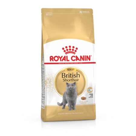 Royal Canin 12個月以上英國短毛貓成貓 4kg