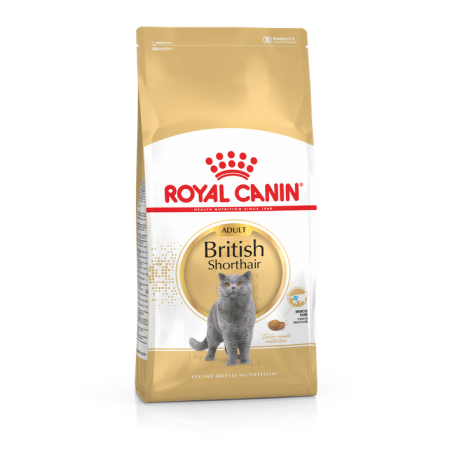 Royal Canin 12個月以上英國短毛貓成貓 10kg