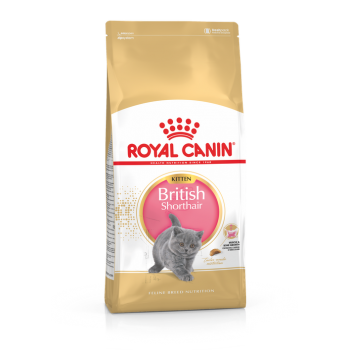 Royal Canin 12個月或以下英國短毛貓幼貓 10kg