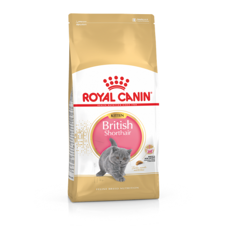 Royal Canin 12個月或以下英國短毛貓幼貓 10kg