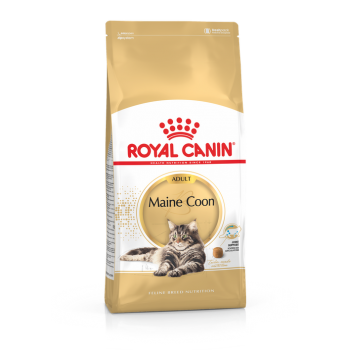Royal Canin 15個月或以上緬因貓成貓 10kg