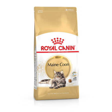 Royal Canin 15個月或以上緬因貓成貓 2kg