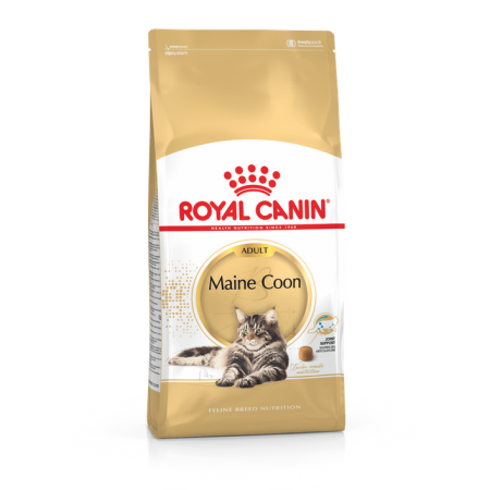 Royal Canin 15個月或以上緬因貓成貓 10kg