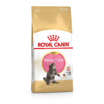 Royal Canin 15個月或以下緬因貓幼貓 10kg