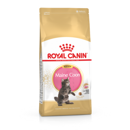 Royal Canin 15個月或以下緬因貓幼貓 10kg
